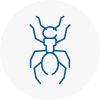 Ant Removals In Boston Spa
