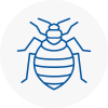 Bed Bug Extermination In Boston Spa