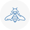 Bee Nest Removal Boston Spa