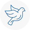 Bird Prevention Boston Spa