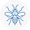 Boston Spa Hornet Nest Removals