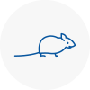 Mice Exterminators In Boston Spa