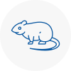 Rat Control Boston Spa