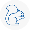 Boston Spa Rodent Removals